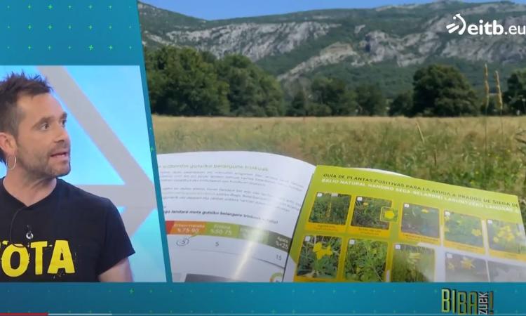 “Artzainok ere, loreak behar ditugu” Aritz Ganboa (Albi Gaztak) Arruazuko artzaina eta gaztagilea eta balio natural handiko segabelardientzako laguntzaren eskatzailea. “Los pastores y pastoras también necesitamos las flores” Aritz Ganboa (Albi Gaztak) pastor y quesero de Arruazu y solicitante de la ayuda a los prados de alto valor natural
