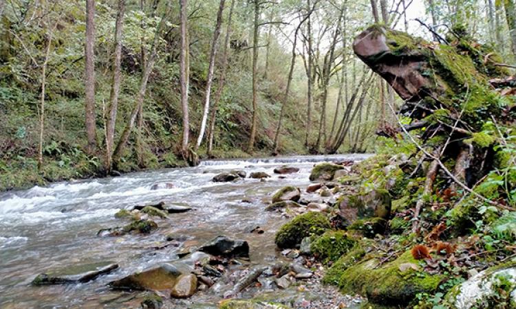 Imagen previa a la demolición de la presa de la Ferrería, en la regata de Ugarana