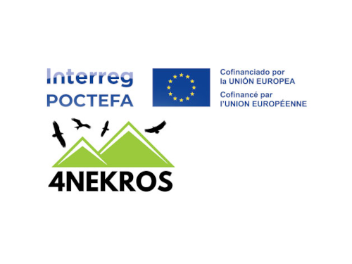 Logo del proyecto poctefa 4nekros